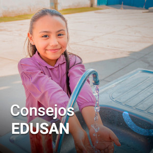 APARTADOS EDUSAN 2